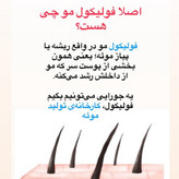 سرم اسکالپی سیپوری تقویت کننده و ضد ریزش مو